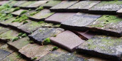 Llanfair Waterdine roof repair costs